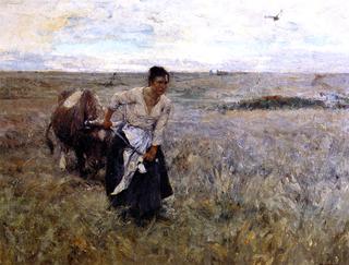 The Homesteader's Wife