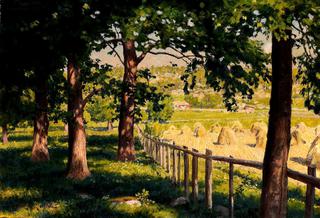 Summer landscape