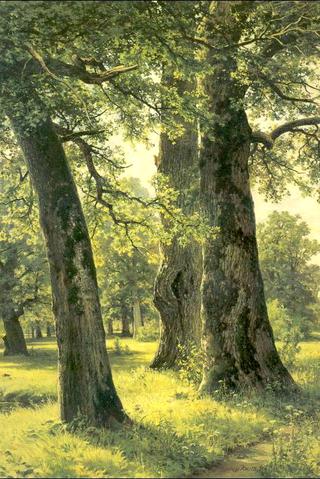 Oaks