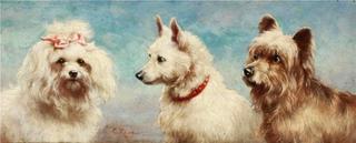 The Admirers