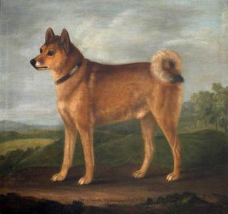 Fox, a Favourite Dog of Sir John William De la Pole