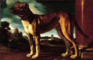 Aldrovandi Dog
