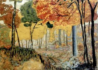 Deer in a Forest