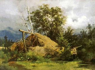Shelter of branches