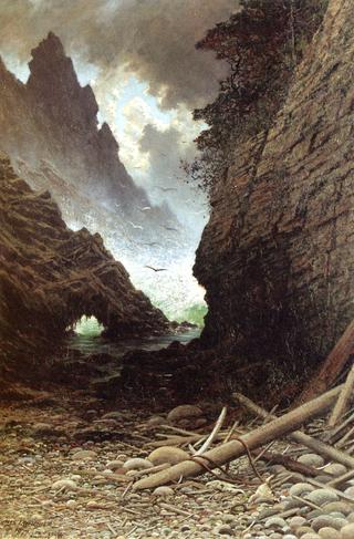 Point Lobos, Monterey, California