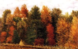 Autumn Woods at the Edge of a Cornfield