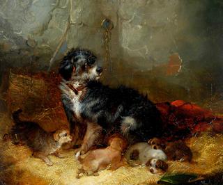 Dog with Puppies