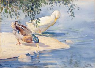 Two Ducks on the Shore