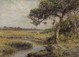 Along the Indian River