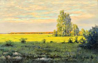 A Sunny Day
