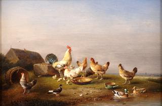Fowl by the Pond