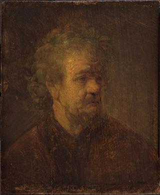 Head of an Old Man (after)