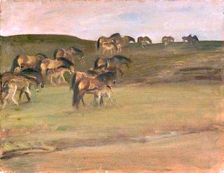 Exmoor Ponies