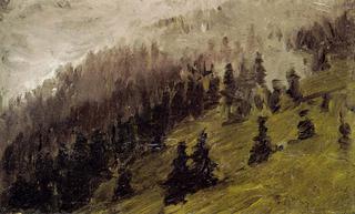 Mist between the fir-trees