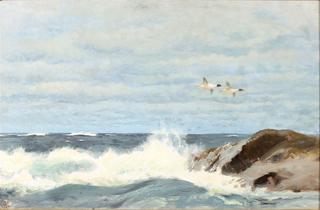 Waterfowl Flying Over the Rocks
