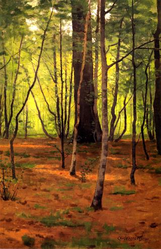 Forest Glen