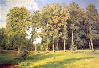 Grove near a Pond