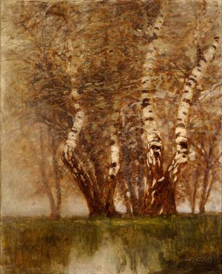 Birches