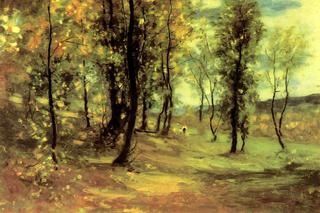 Forest Clearing