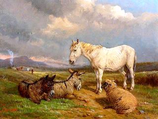 A Common Lot with a Pony, Donkeys and Sheep