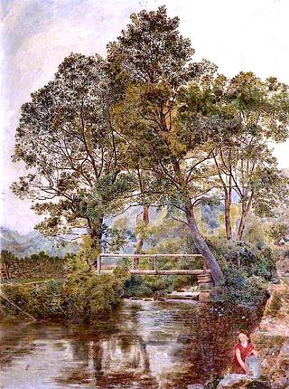 A Calm Welsh Stream