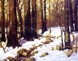Winter Woods