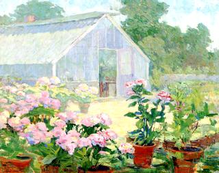 Hydrangeas at the Florist's Place