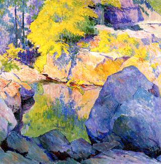 Sunlit Pool