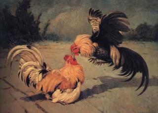 Gallos de pelea