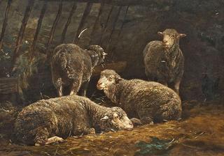 Sheep in a Stall