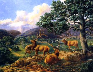 Four Elk