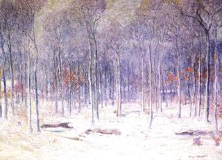Woods North of Higgins Road