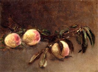 Branch of Peaches