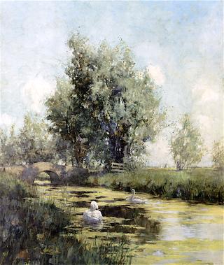 Swans by a Bridge, Holland