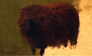 Large Wooly Sheep