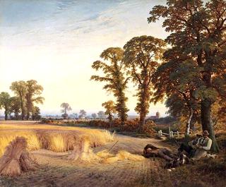 Country Life