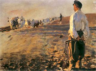 Plowing in Ukraine