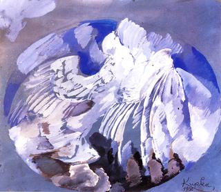 Flight