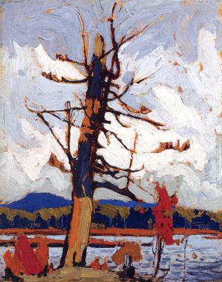 The Dead Pine