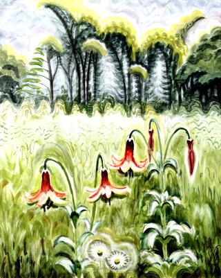 Wood Lilies