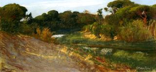 An outlet of the Fosano Canal