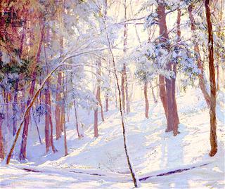 Winter Woods