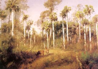 Deer Feeding at Cone Creek