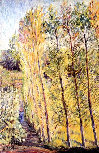 Avenue with Poplar Trees