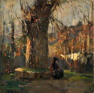 Landscape