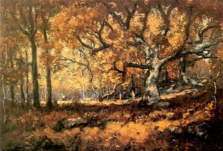 The Woodland Scene