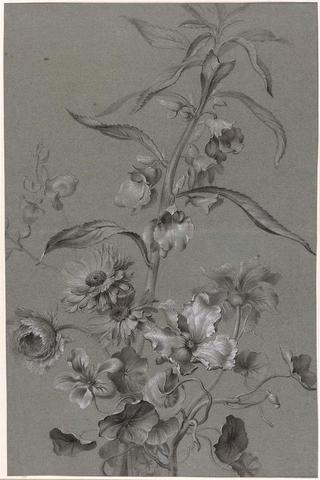 Flower Study