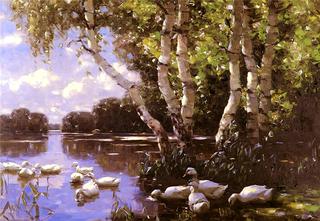 Eleven ducks under the birch in the water