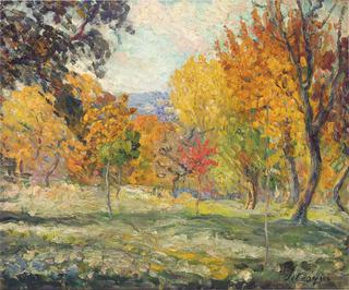 Lanscape with trees