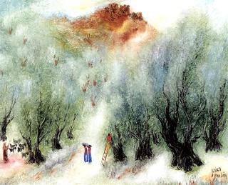 Olive Trees